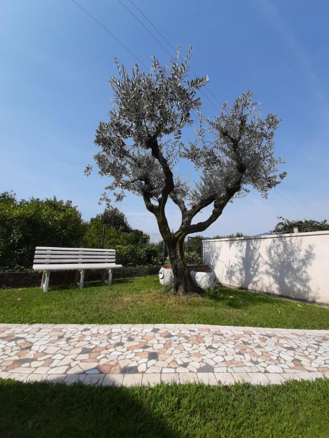 Affittacamere Da Lina Vittorio Veneto Exteriér fotografie